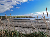 Scapa Beach