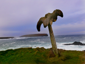 Whalebone Birsay